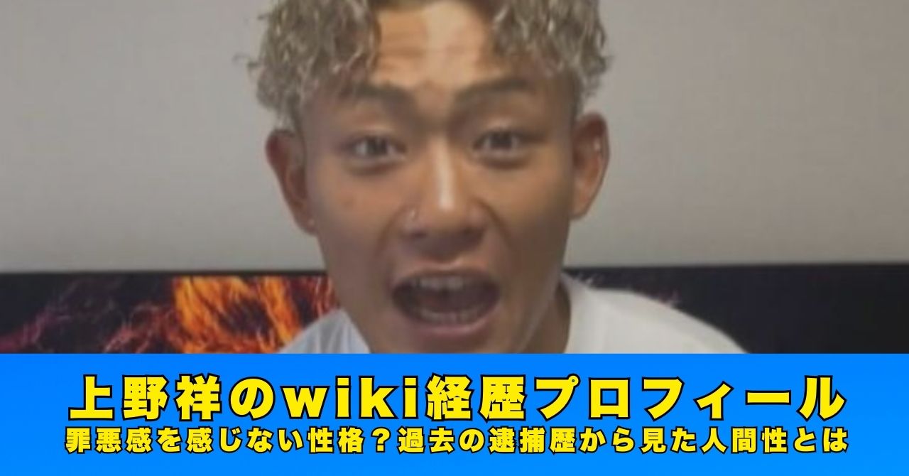 上野祥　wiki　プロフィール