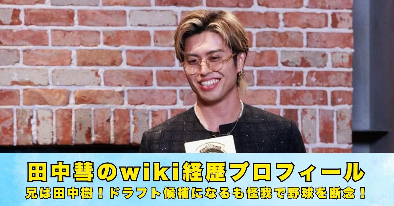 田中彗　wiki　プロフィール