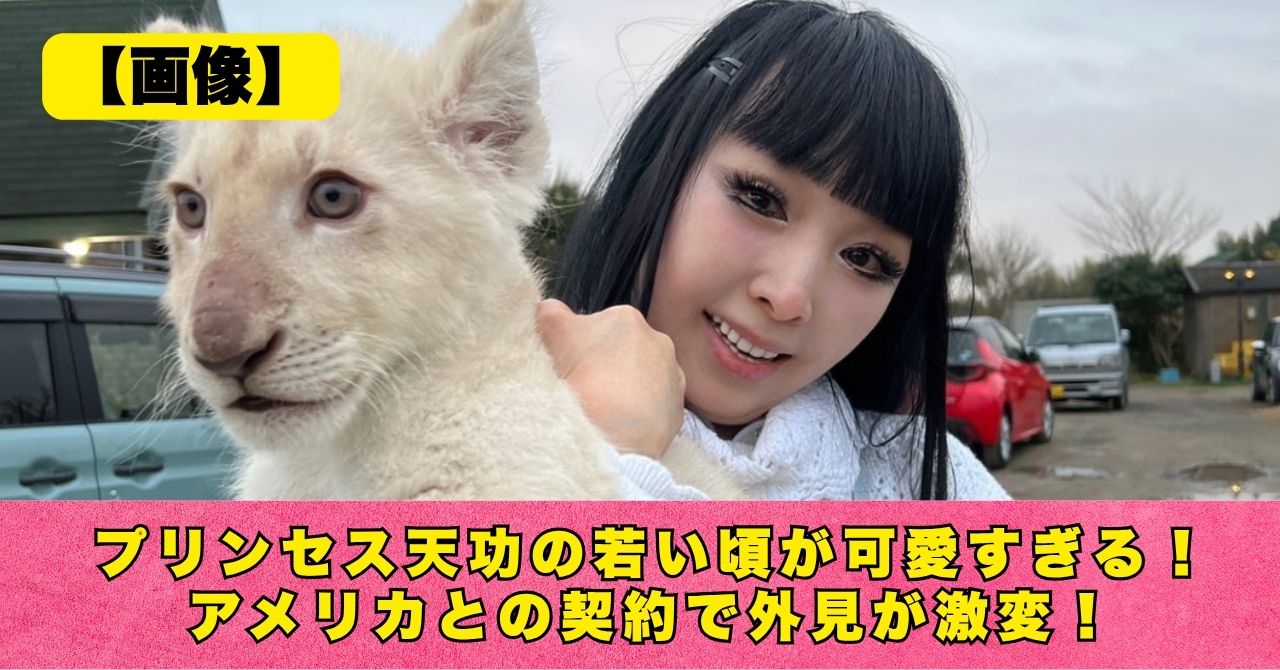 プリンセス天功