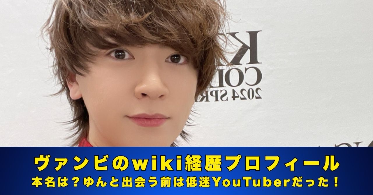 ヴァンビ wiki プロフィール