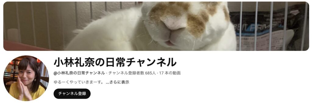 小林礼奈 収入