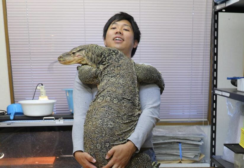 ちゃんねる鰐 何があった
