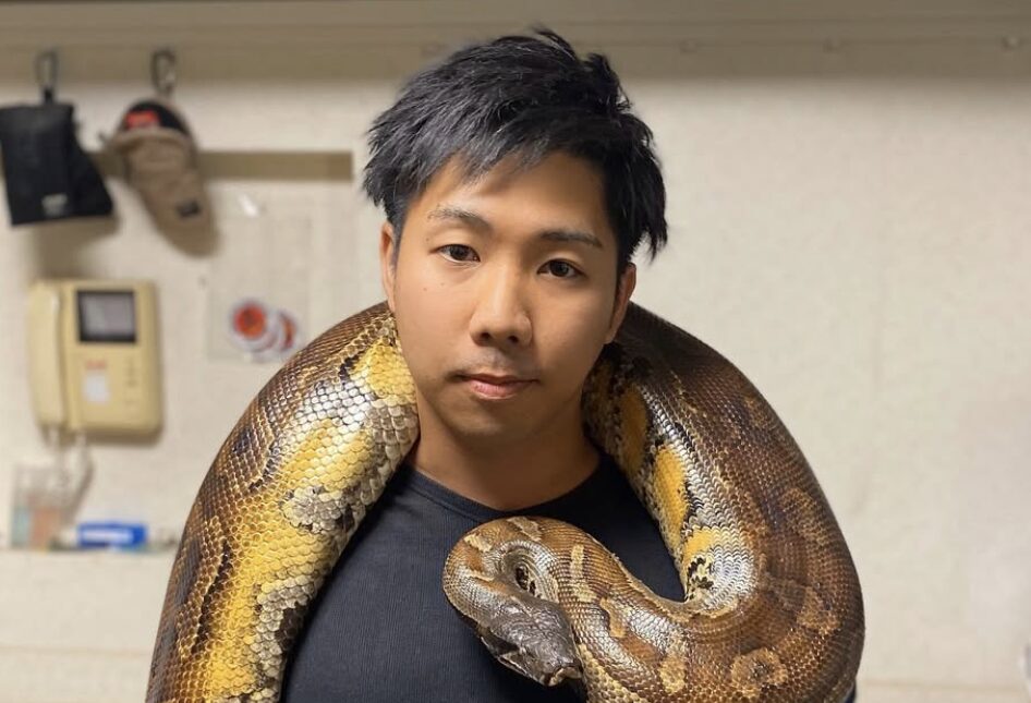 ちゃんねる鰐 何があった