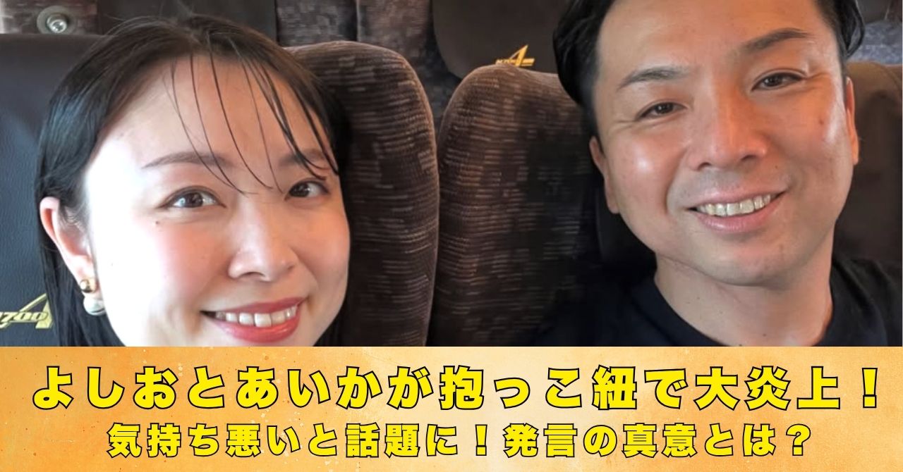 よしおとあいか　抱っこ紐