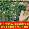 中嶋イッキュウ　wiki　プロフィール